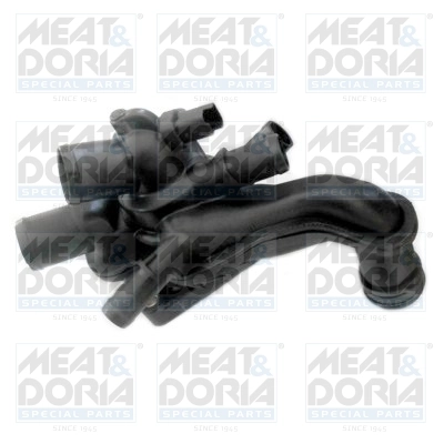Thermostat, coolant